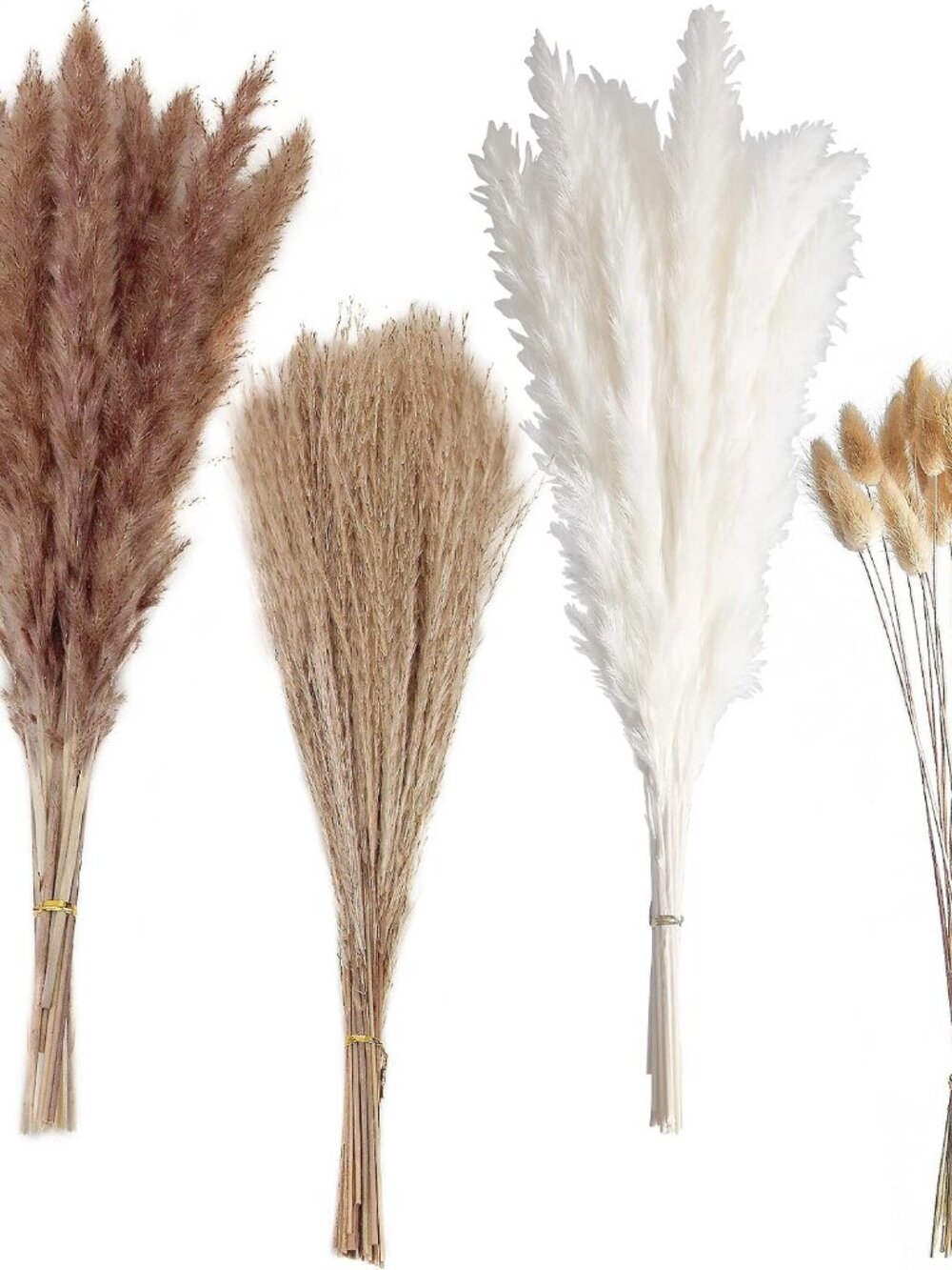100 PCS Small Boho Pampas Grass, 17" Naturally Dried Pompas, Pampas Grass Decor